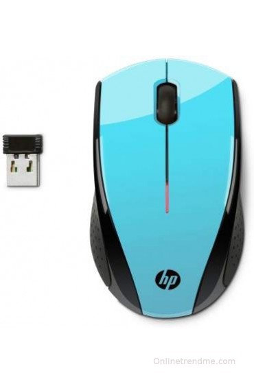 HP X3000 Wireless Optical Mouse(USB, Blue)